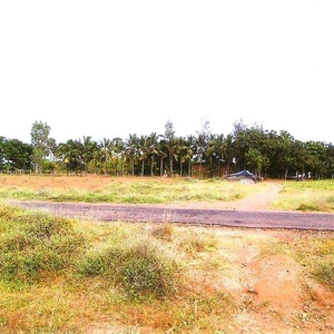 Commercial Land 400 Acre for Sale in