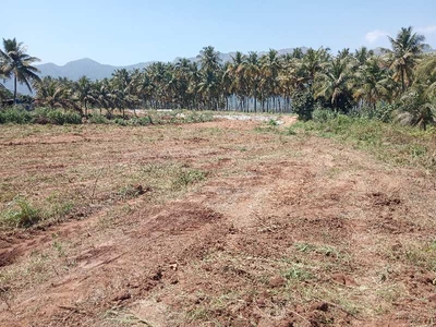 Commercial Land 70 Cent for Sale in Cumbum, Theni