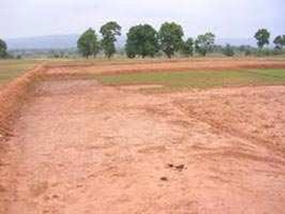 Commercial Land 6 Acre for Sale in Baloda, Janjgir-Champa