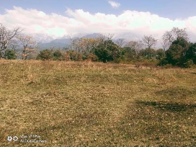 Commercial Land 8 Bigha for Sale in