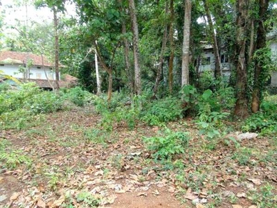 Commercial Land 9 Cent for Sale in Thiruvannur, Kozhikode