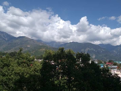 Residential Plot 10 Marla for Sale in Chilgari, Dharamsala