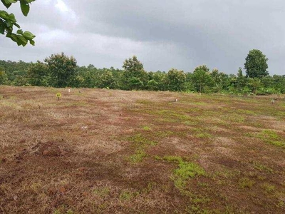 Residential Plot 200 Acre for Sale in Mahad, Raigad