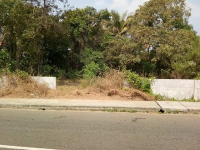 Residential Plot 27 Cent for Sale in Alathur, Palakkad
