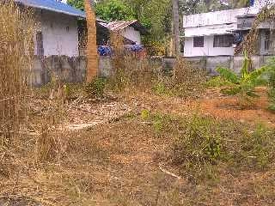 Residential Plot 5 Cent for Sale in Puzhakkal, Thrissur