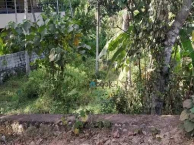 Residential Plot 6 Cent for Sale in Panoor, Kannur