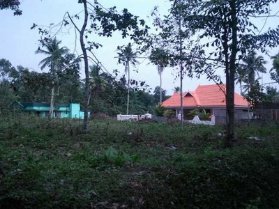 Residential Plot 82 Cent for Sale in Changanassery, Kottayam