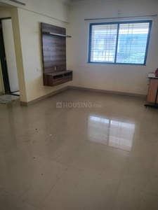 1 BHK Flat for rent in Dhanori, Pune - 710 Sqft