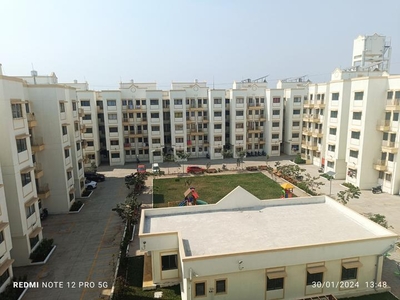 1 BHK Flat for rent in Gahunje, Pune - 610 Sqft