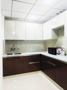 1 BHK Flat for rent in Jambhe, Pune - 440 Sqft