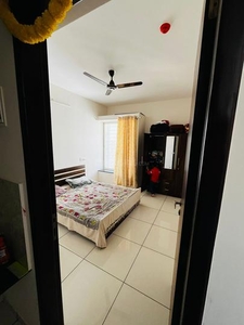 1 BHK Flat for rent in Punawale, Pune - 571 Sqft