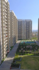 2 BHK Flat for rent in Hinjewadi, Pune - 980 Sqft