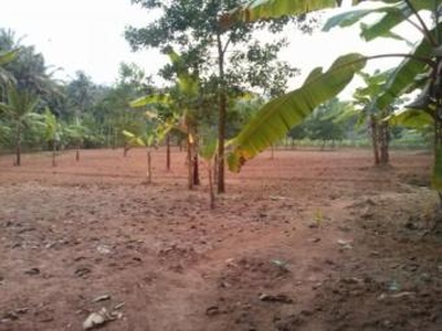plot for sale For Sale India