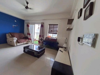 1 BHK Flat for rent in Hinjewadi Phase 3, Pune - 560 Sqft