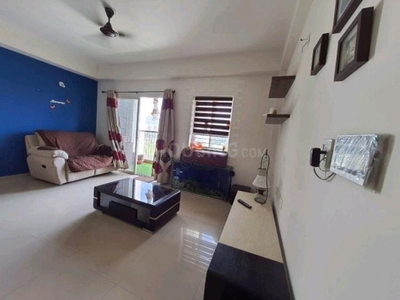 1 BHK Flat for rent in Hinjewadi Phase 3, Pune - 570 Sqft