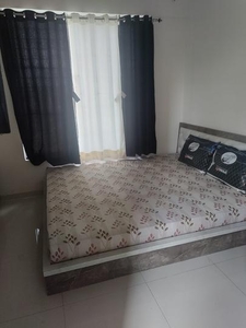 1 BHK Flat for rent in Hinjawadi, Pune - 730 Sqft