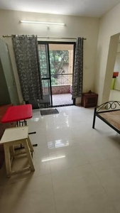 1 RK Flat for rent in Kothrud, Pune - 350 Sqft