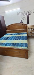 1 BHK Independent Floor for rent in Shalimar Bagh, New Delhi - 510 Sqft