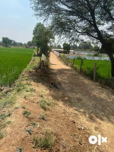 1000 syd farm land for sale at moinabad ketireddy palli