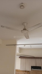 3 BHK Flat for rent in Noida Extension, Greater Noida - 1110 Sqft