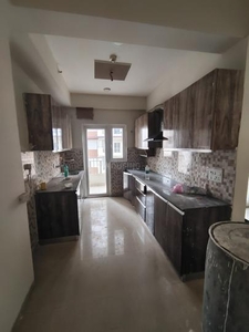 3 BHK Flat for rent in Noida Extension, Greater Noida - 1610 Sqft