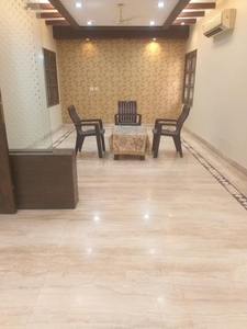 3 BHK Flat for rent in Paschim Vihar, New Delhi - 1500 Sqft