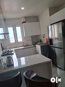 3bhk fully furnished independent flat for sale near palm city