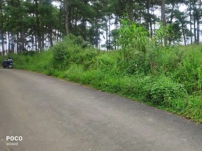 Land at New shillong neigrim provision for water connection in placed
