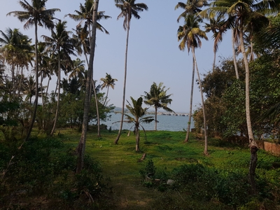 Plot of land Kerala For Sale India