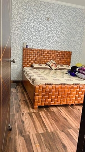 1 BHK Flat for rent in Noida Extension, Greater Noida - 560 Sqft