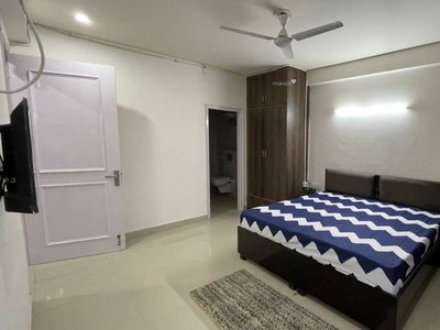 1600 sq ft 2 BHK 2T BuilderFloor for rent in Project at Sector 31, Gurgaon by Agent Shobha Homes