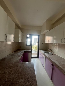 2 BHK Flat for rent in Sector 137, Noida - 1040 Sqft