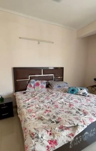 3 BHK Flat for rent in Noida Extension, Greater Noida - 1545 Sqft