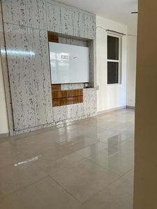 3 BHK Independent House for rent in Sector 49, Noida - 1800 Sqft