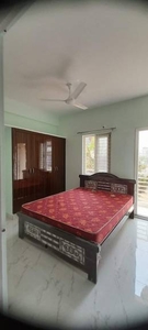 750 sq ft 1 BHK 1T Apartment for rent in Project at Raghavendra Colony Manikonda, Hyderabad by Agent Devil Rentals