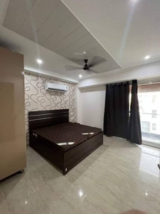900 sq ft 2 BHK 2T BuilderFloor for rent in Project at Sector 52, Gurgaon by Agent Oxford Realtors