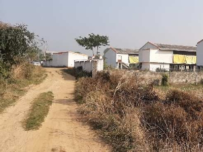 Agricultural Land 12 Bigha for Sale in Orgram, Bardhaman