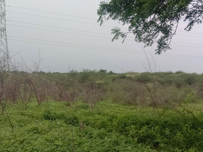 Agricultural Land 20 Acre for Sale in Morshi, Amravati