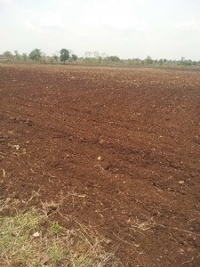 Agricultural Land 4 Acre for Sale in Ichhawar, Sehore