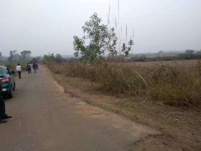 Agricultural Land 40 Bigha for Sale in Gourangapur, Bardhaman