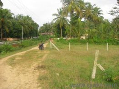 Residential Plot 15 Cent for Sale in Pathirippala, Palakkad