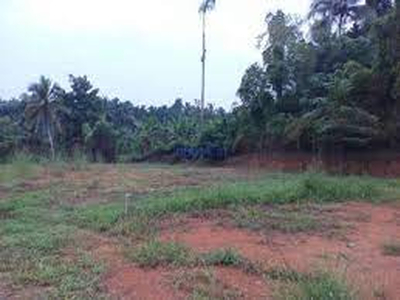 Residential Plot 5 Cent for Sale in Akathethara, Palakkad