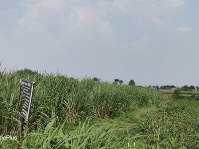 Commercial Land 4 Acre in Gangapur Nashik