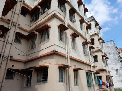 1 BHK Flat for rent in Barasat, Kolkata - 411 Sqft