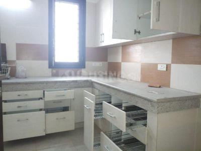 5 BHK Independent House for rent in Sector 30, Noida - 4500 Sqft