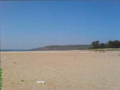 Beach Touch Property For Sale For Sale India