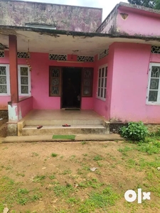 Old House with Rubber plot near Thiruvalla.