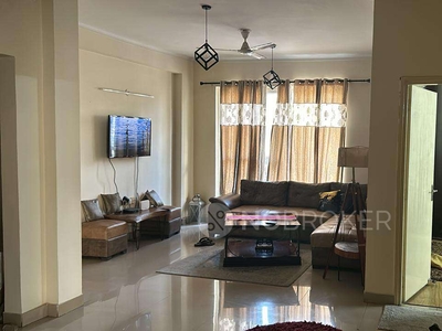 3 BHK Flat In Orchid Island, Sector 51, Gurgaon for Rent In Sector 51, Gurgaon