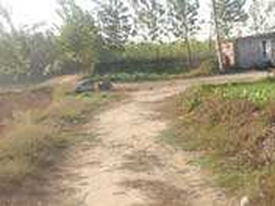 Agricultural Land 32 Acre for Sale in Una Road, Hoshiarpur