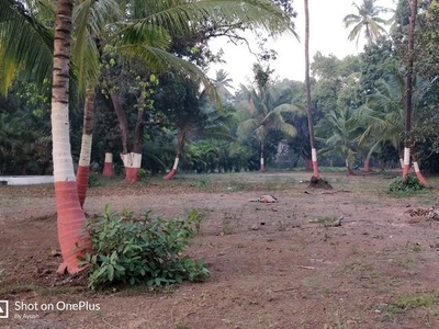 2 Acre Plot in Alibag Raigad